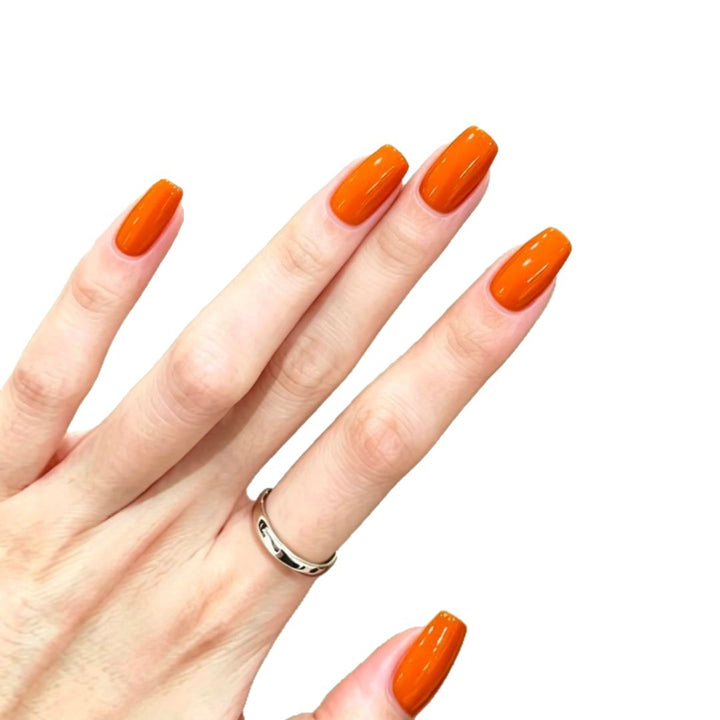 Glossy Press-On Nail Extensions Kalsten