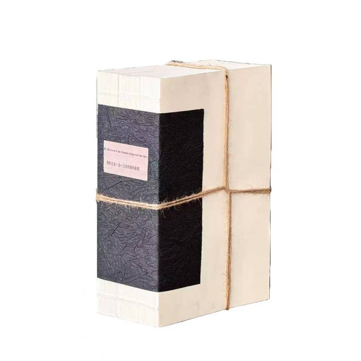 Stylish Artisan Notebook Set