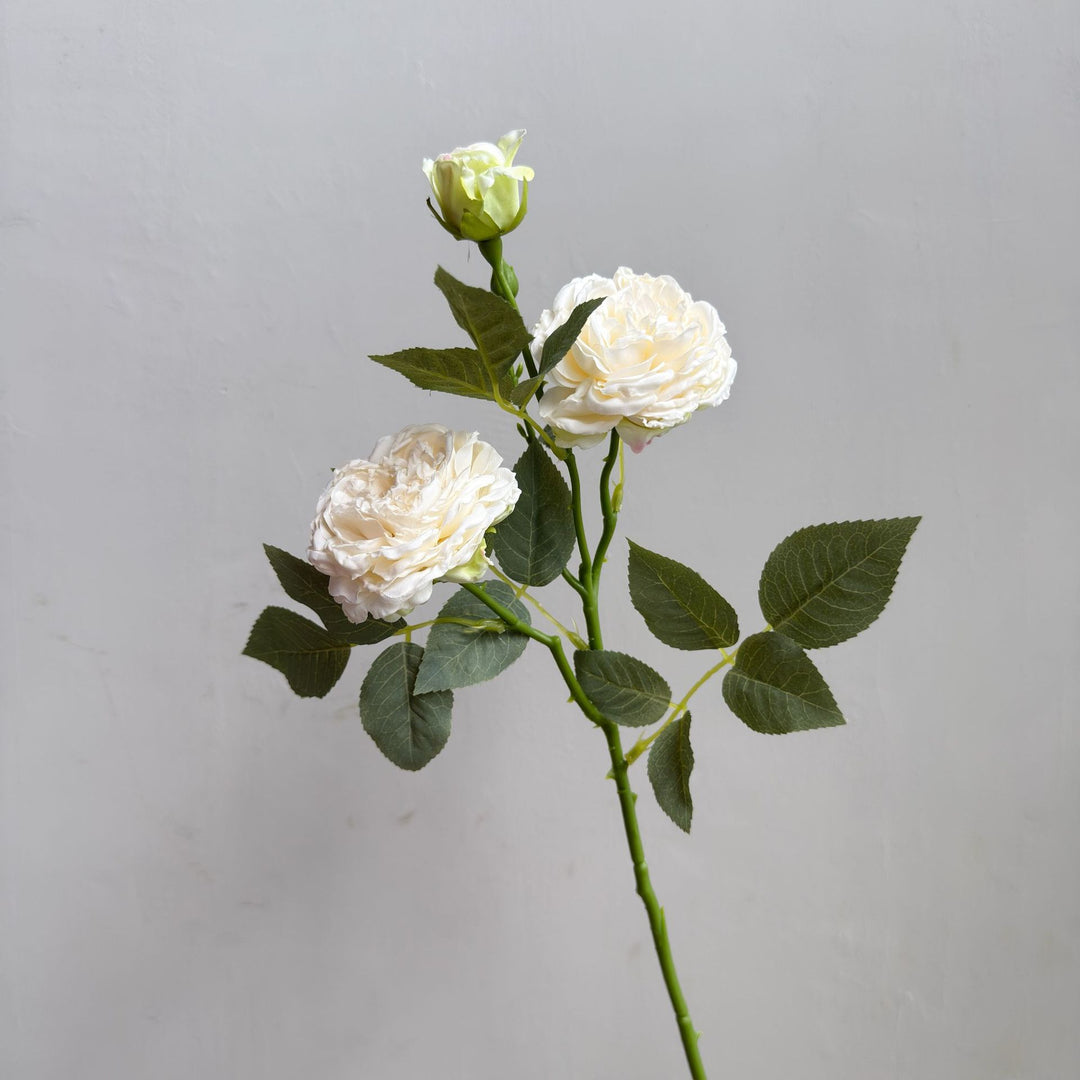 Modern Floral Decor