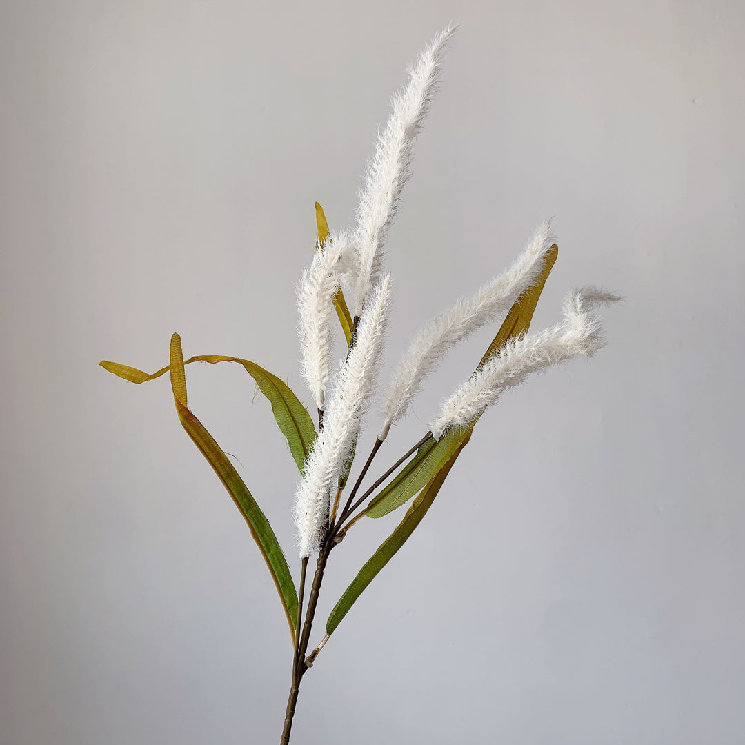 Decorative Pampas Grass Stem