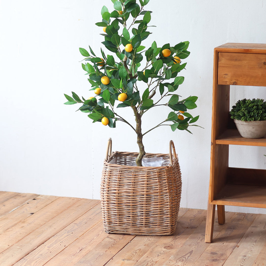 Basket with Handles Kalsten