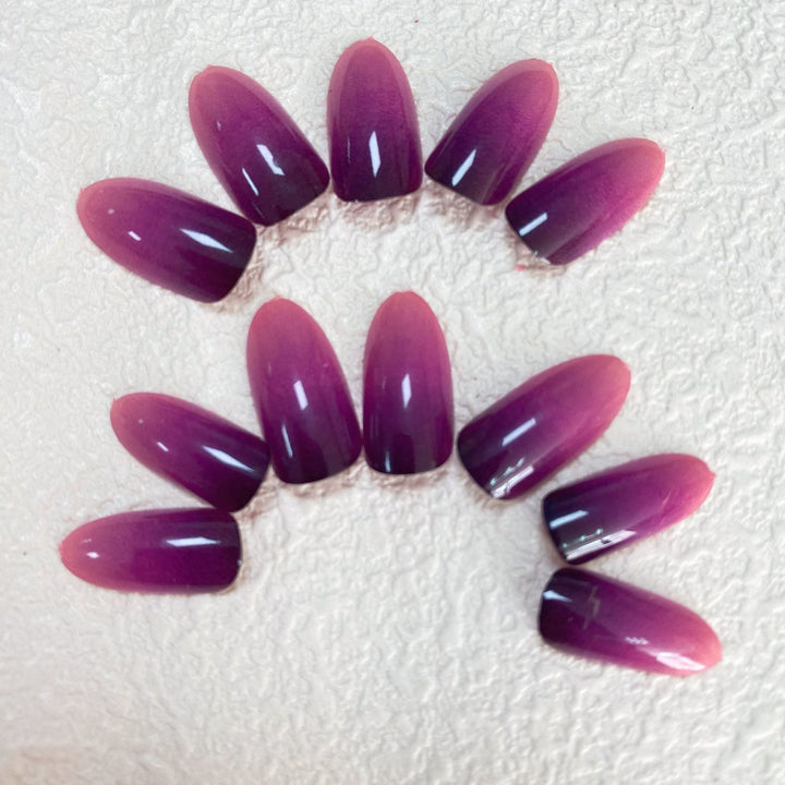 Gradient Ombre Press-On Nail Tips Kalsten