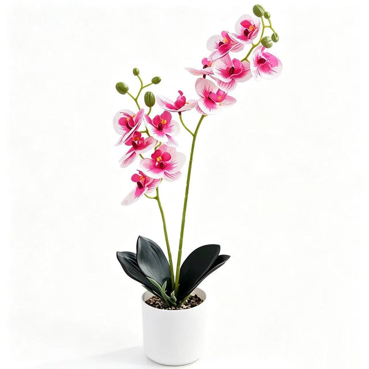 Lifelike Orchid Home Décor