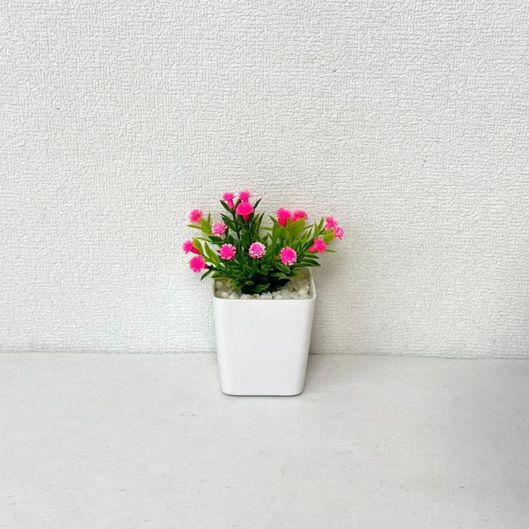 Decorative Mini Potted Plant Arrangement