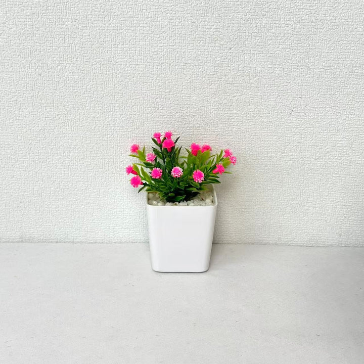 Decorative Mini Potted Plant Arrangement