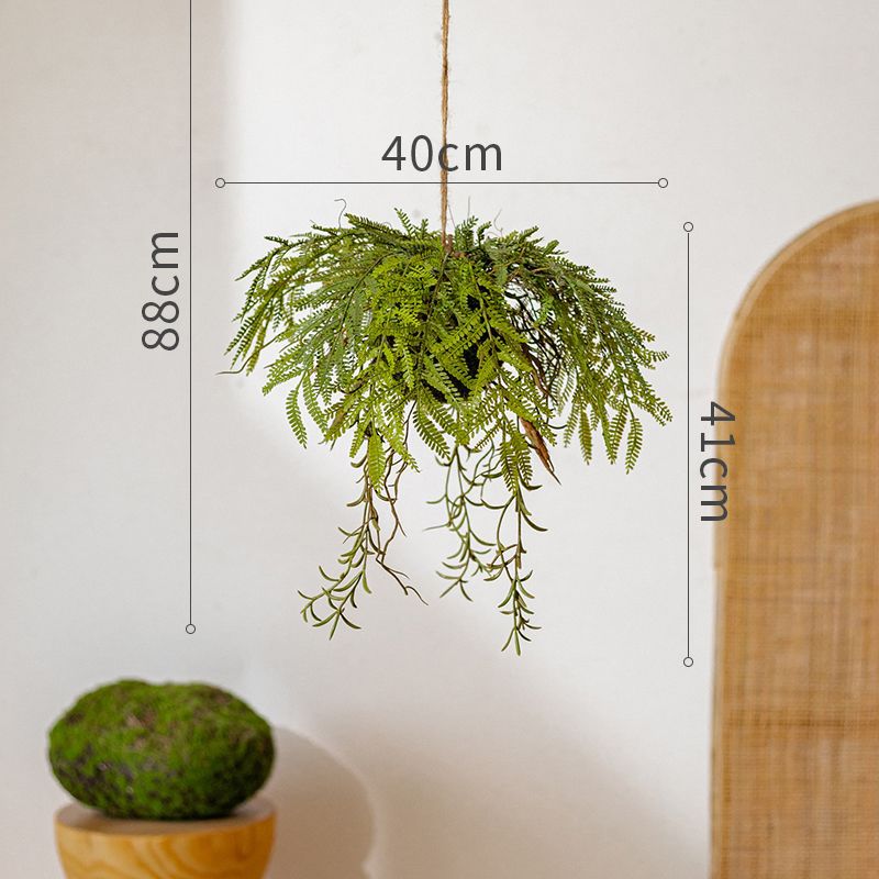 Hanging Fern Plant Decoration