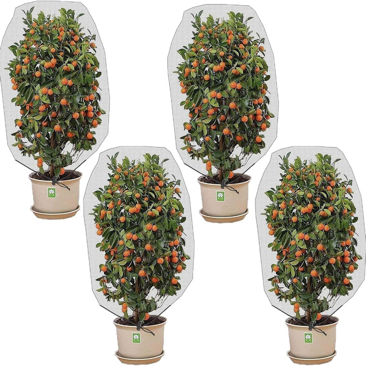 Plant Protection Cover Kalsten