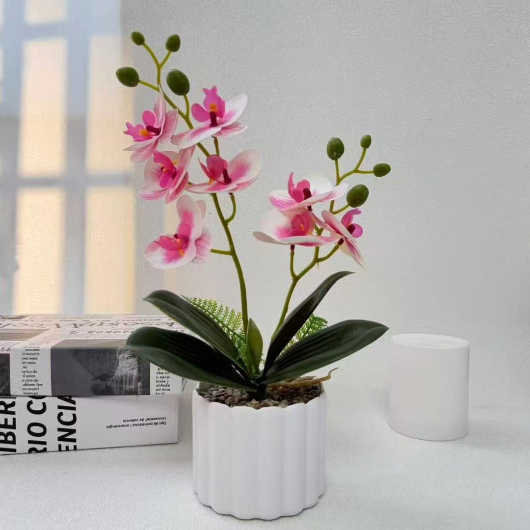 Home Decorative Artificial Orchid for Indoor Decorative Display