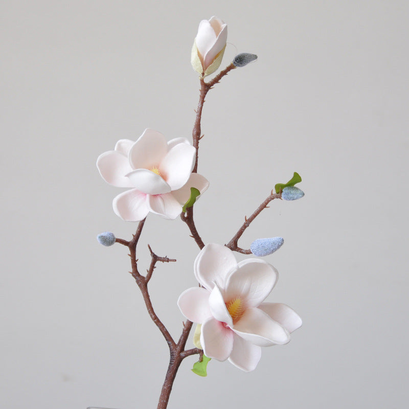 Magnificent Silk Magnolia Flower Stem