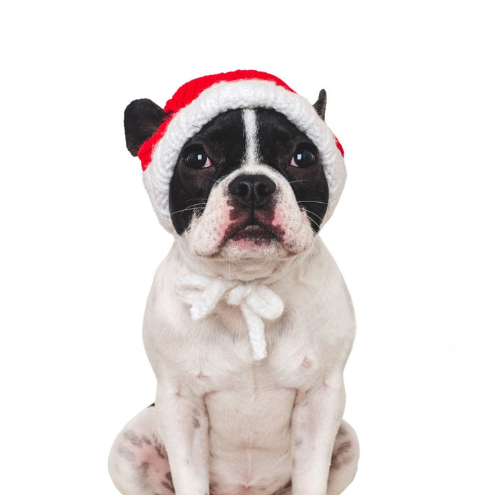 Funny Christmas hat for pets