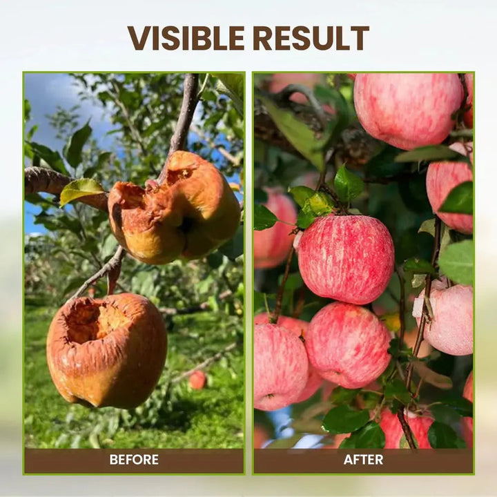 Noxord | Organic Soil Activator for Robust Plant Growth