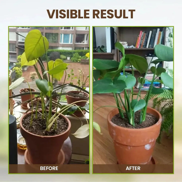 Noxord | Organic Soil Activator for Robust Plant Growth