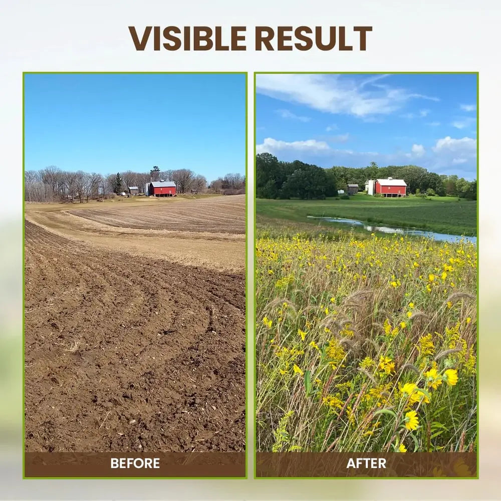 Noxord | Organic Soil Activator for Robust Plant Growth