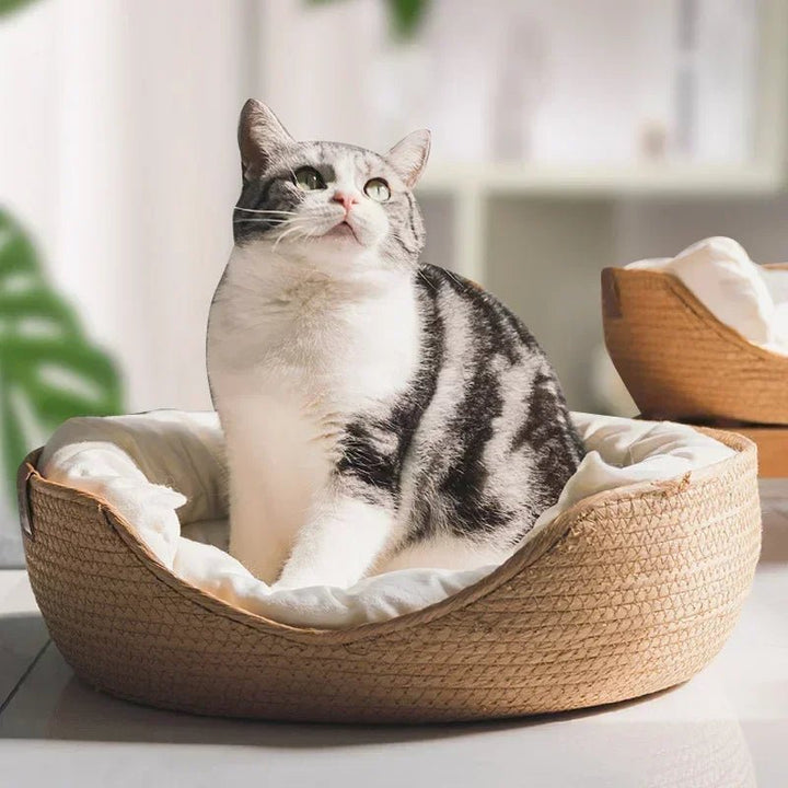 Kalsten | Eco-friendly cat sofa with breathable cotton design