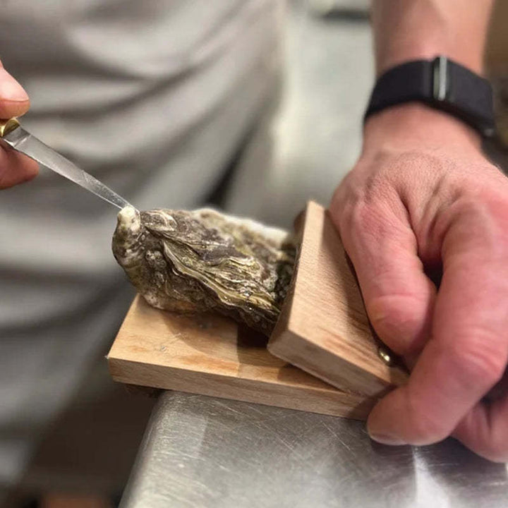 Kalsten | Premium wood handle oyster shell opener clamp