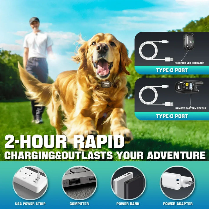 Remote Dog Training Collar – Sound & Vibration