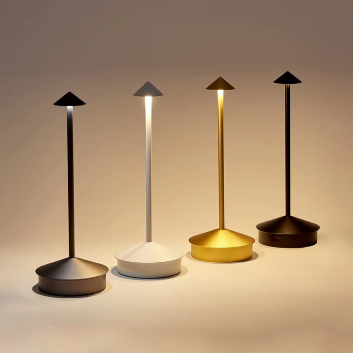 Rechargeable Touch LED Desk Lamp (3 Modes)