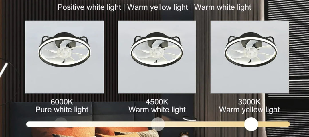 Modern LED Ceiling Fan Light with DC Motor - 6 Speed, Timer, Low Floor Attic Fan, Remote Control Decorative Light | Kalsten