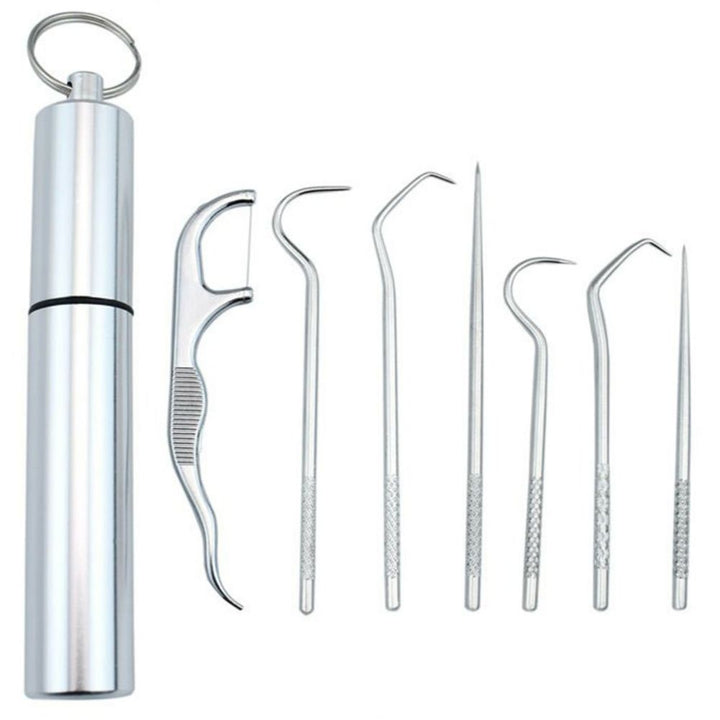 Clean Pick - 7 Piece Stainless Steel Toothpick Set | Kalsten