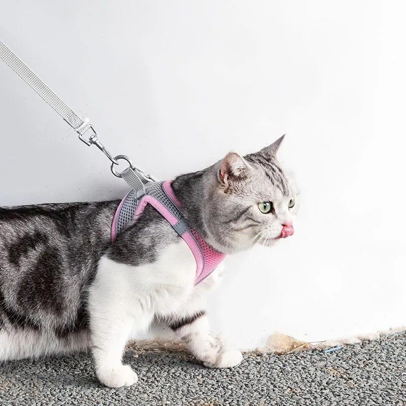 Adventurous Cat Harness with Leash – Adjustable and Reflective | Kalsten