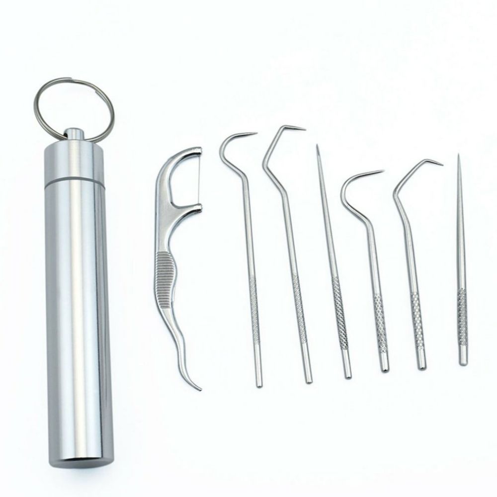 Clean Pick - 7 Piece Stainless Steel Toothpick Set | Kalsten