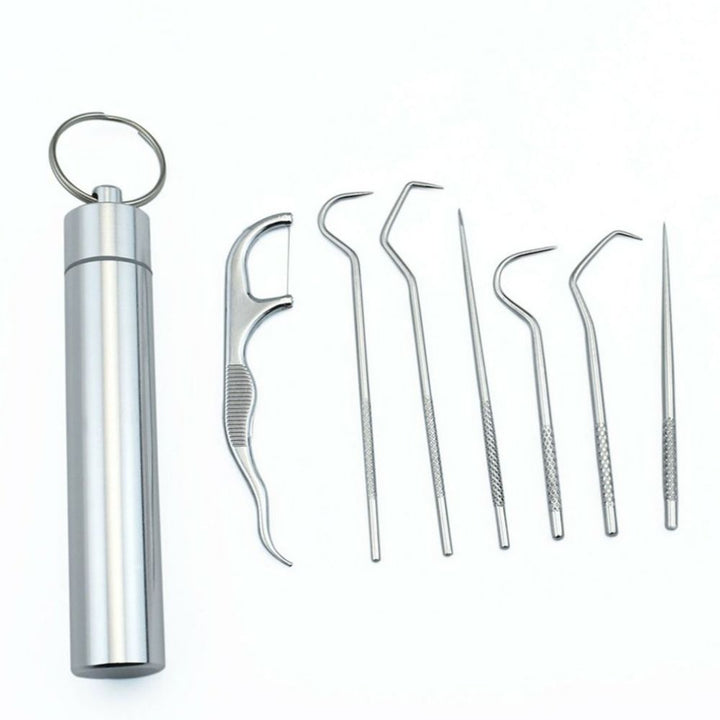Clean Pick - 7 Piece Stainless Steel Toothpick Set | Kalsten