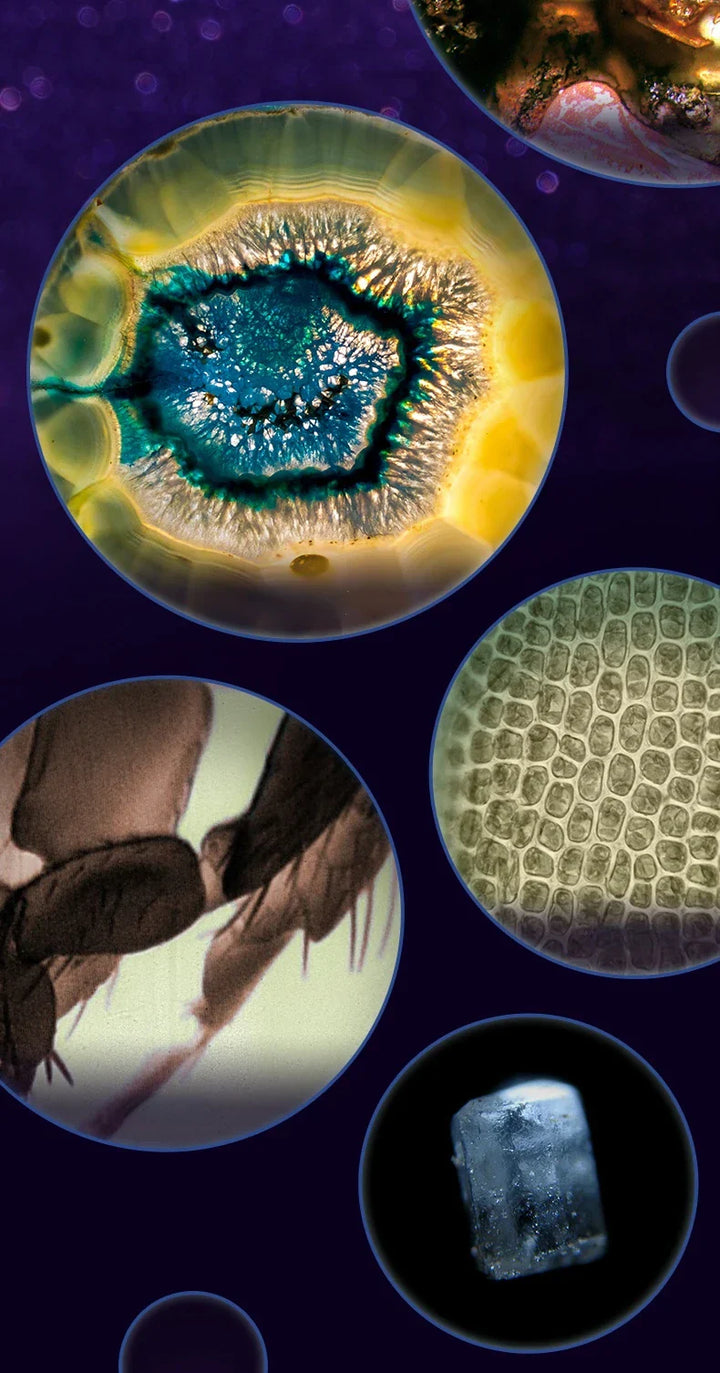 Noxord | Portable HD Optical Adventure Microscope