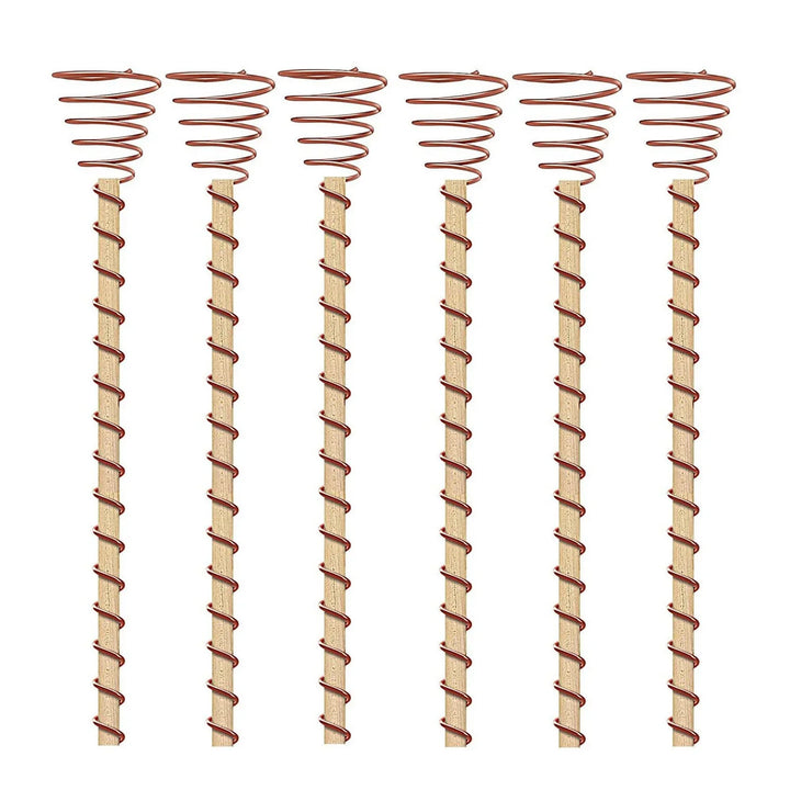 Kalsten | VerdoraFlux Electroculture Plant Antennas | Copper Growth Rods for Garden & Potted Plants | Promoting Plant Growth Without Fertilizer