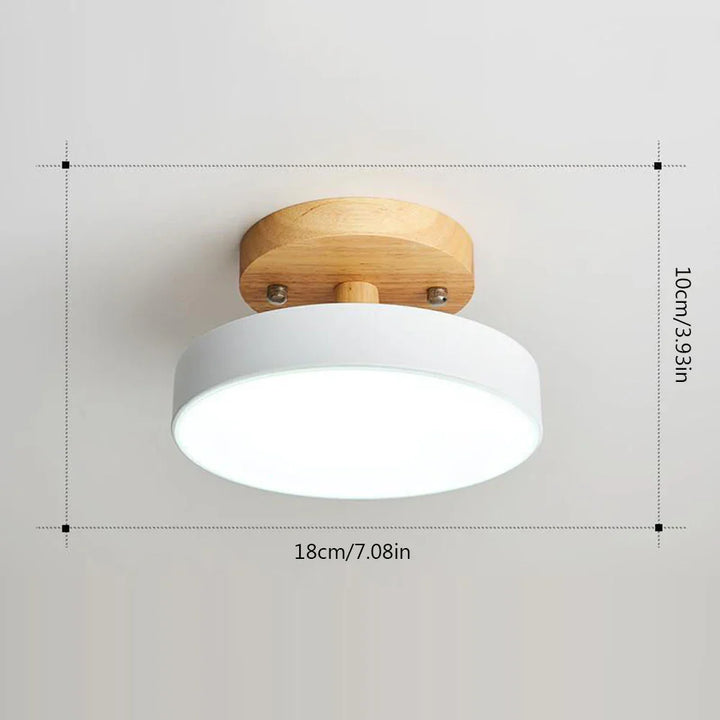 LED Ceiling Lights Chandelier Modern Ceiling LED Light for Room Surface Mounted Bedroom Living Room Corridor Balcony Lights | Kalsten