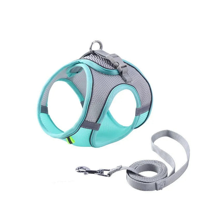 Adventurous Cat Harness with Leash – Adjustable and Reflective | Kalsten