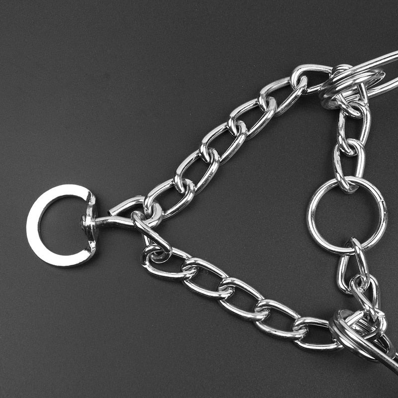 Stylish Dog Pinch Collar