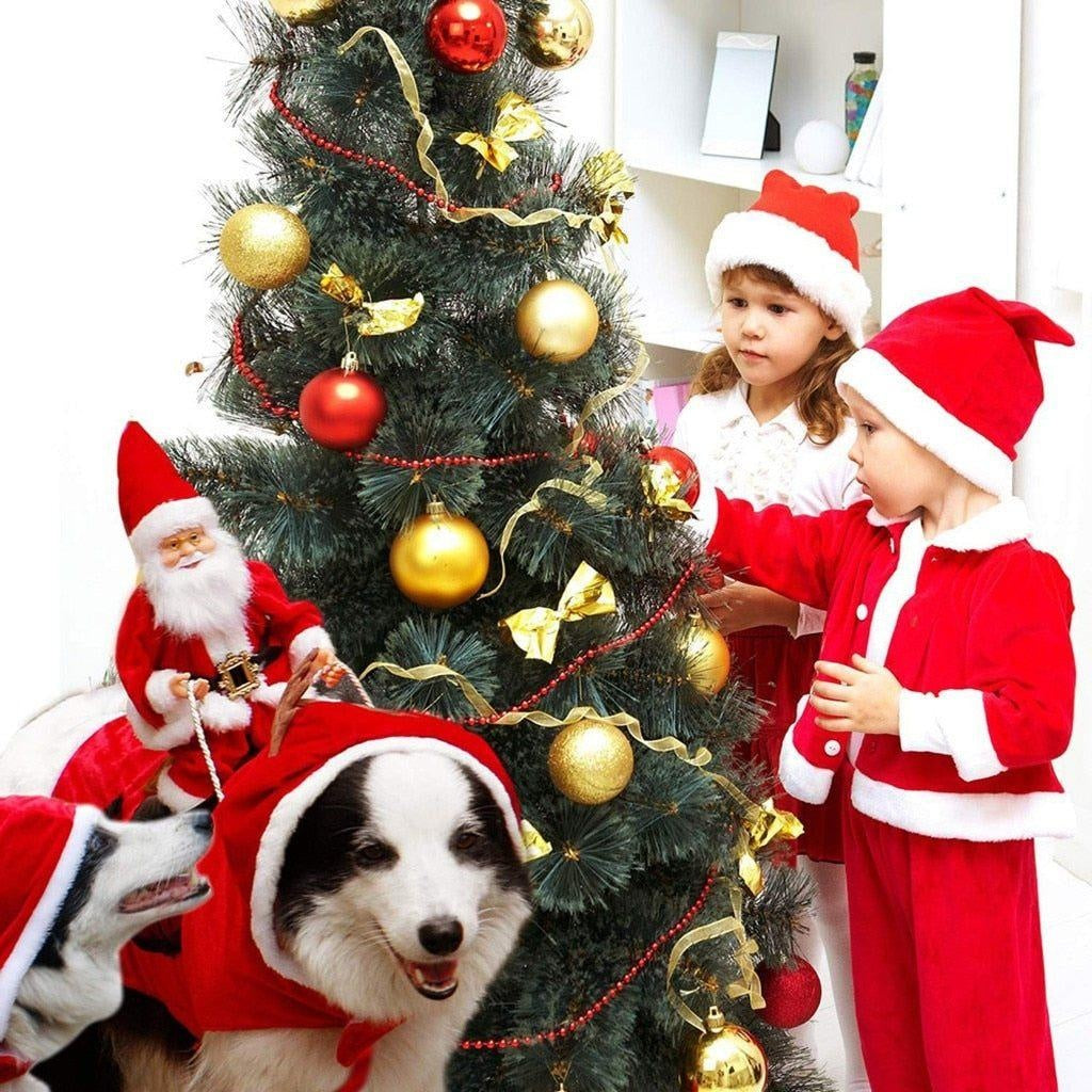 Christmas Santa Dog Costume | Kalsten