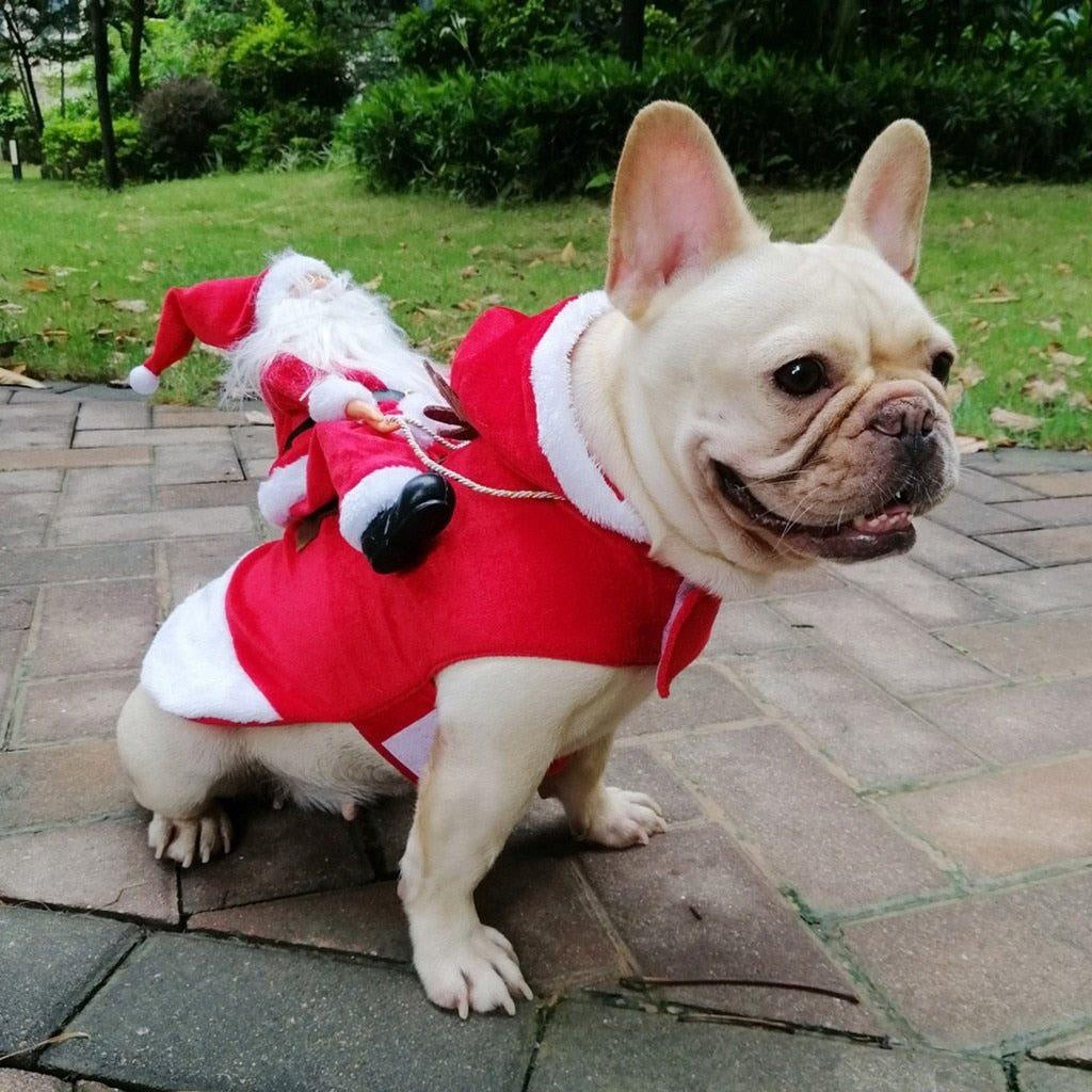 Christmas Santa Dog Costume | Kalsten