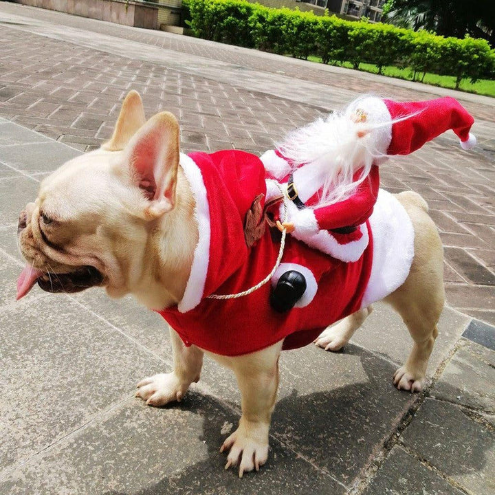 Christmas Santa Dog Costume | Kalsten