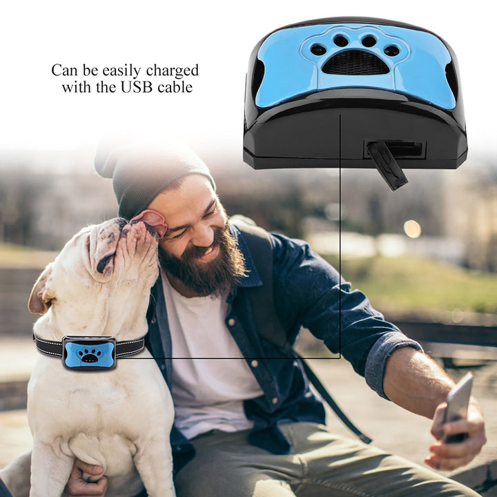 Anti-Bark Training Collar with Vibration