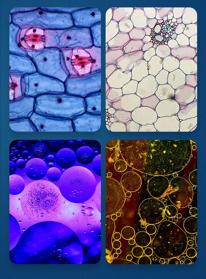 Noxord | Portable HD Optical Adventure Microscope