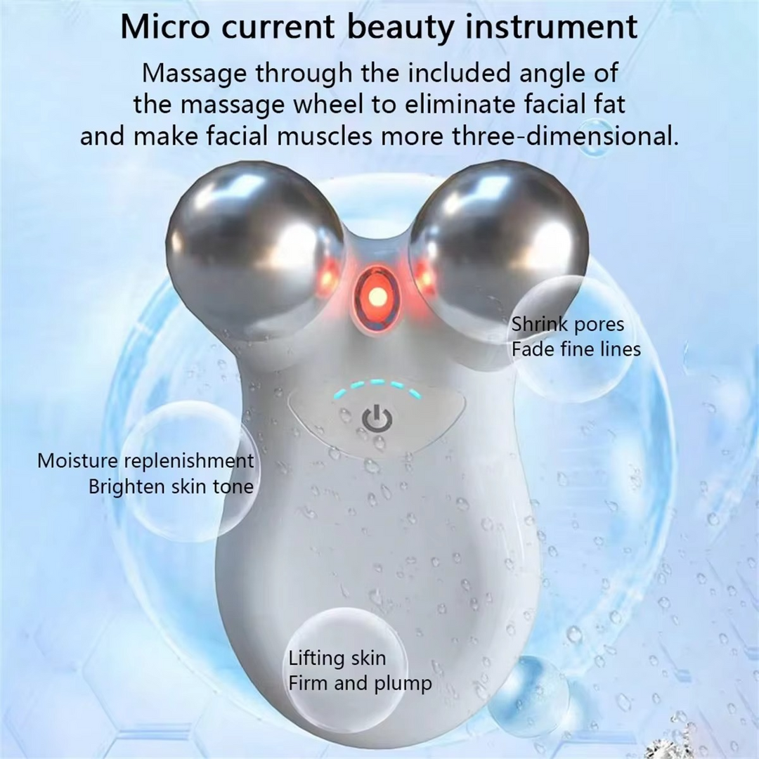 Kalsten | Dual-Head RF & EMS Microcurrent Facial Rejuvenation Device