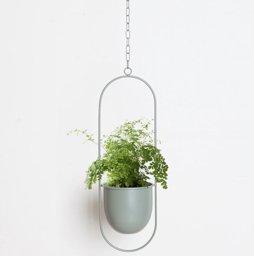 FloraFrame Elegant Metal Wall & Ceiling Plant Holder