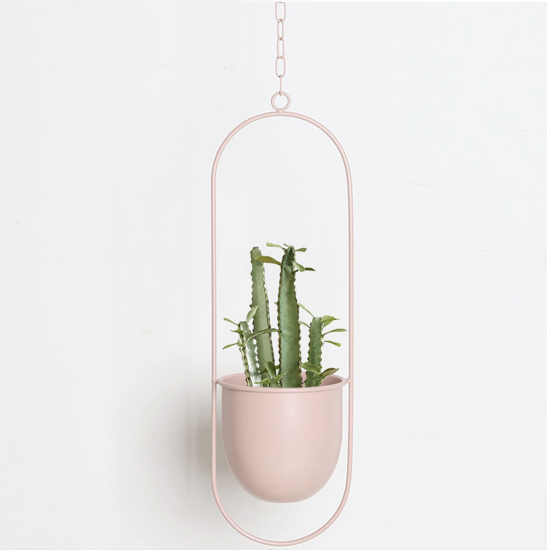 FloraFrame Elegant Metal Wall & Ceiling Plant Holder