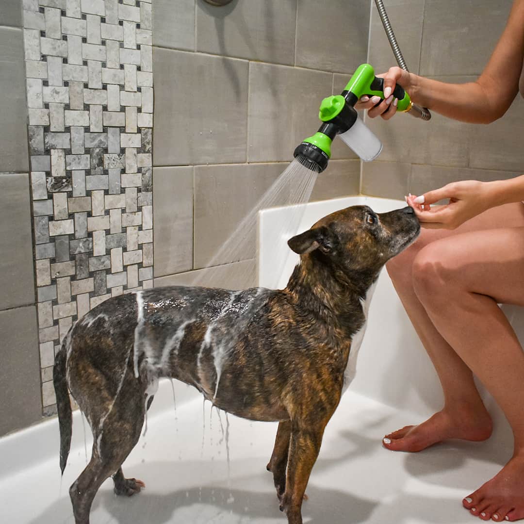 Dogjet Pro™ - Effortlessly wash your dog in record time! Noxord