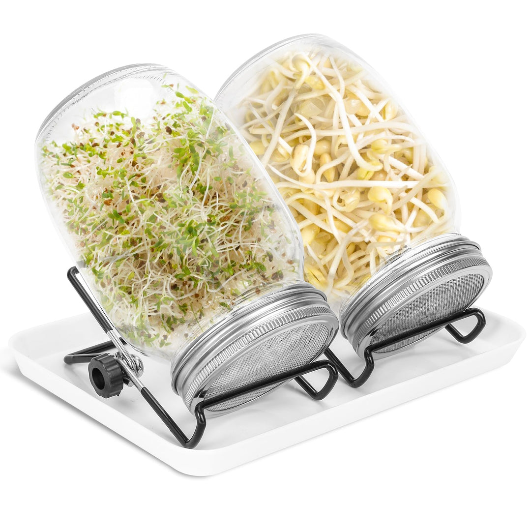 Sprouting glass germination glass 2pcs with lid & sieve 950ML | Kalsten