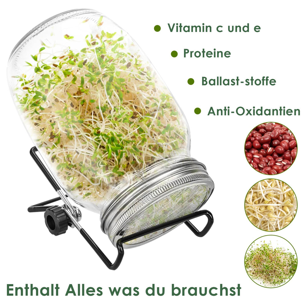 Sprouting glass germination glass 2pcs with lid & sieve 950ML | Kalsten