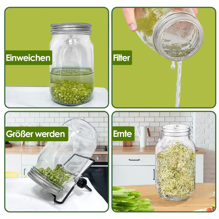 Sprouting glass germination glass 2pcs with lid & sieve 950ML | Kalsten