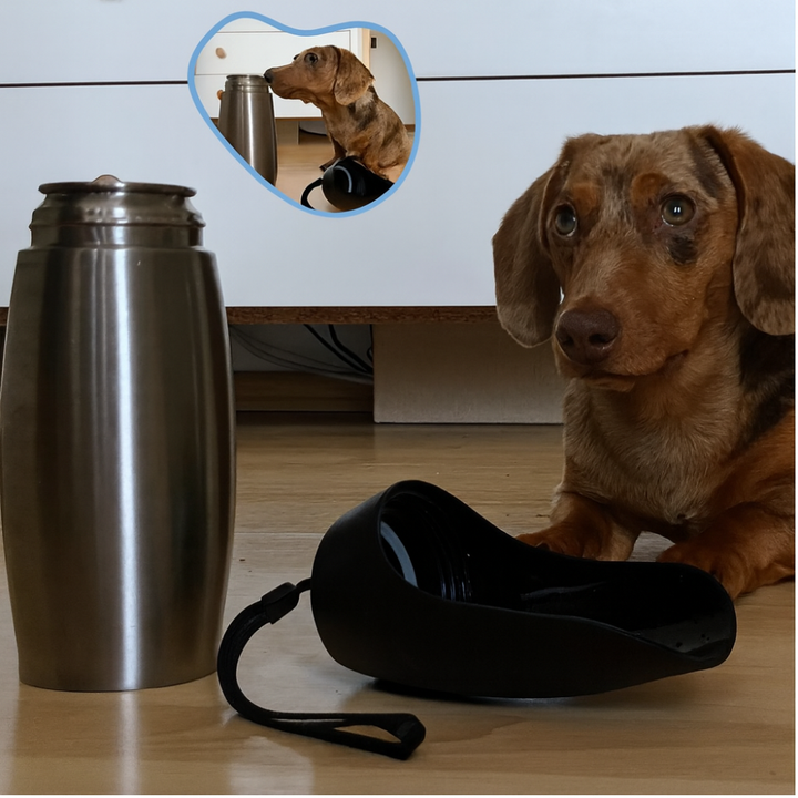 Kalsten | Stainless Steel Dog Water Bottle Portable Leak Proof Travel Bowl