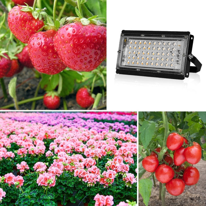 Kalsten | LED Plant Light Full Spectrum Waterproof Grow Light EU Plug 144 Beads 200W