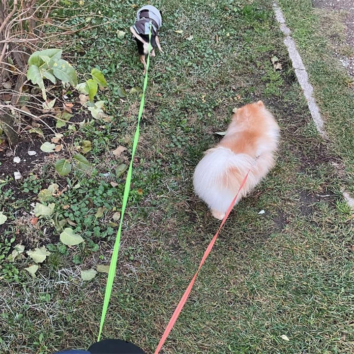 TangleFree Double Dog Leash – Tangle-Free Leash for Easy Walking with Two Dogs | Kalsten