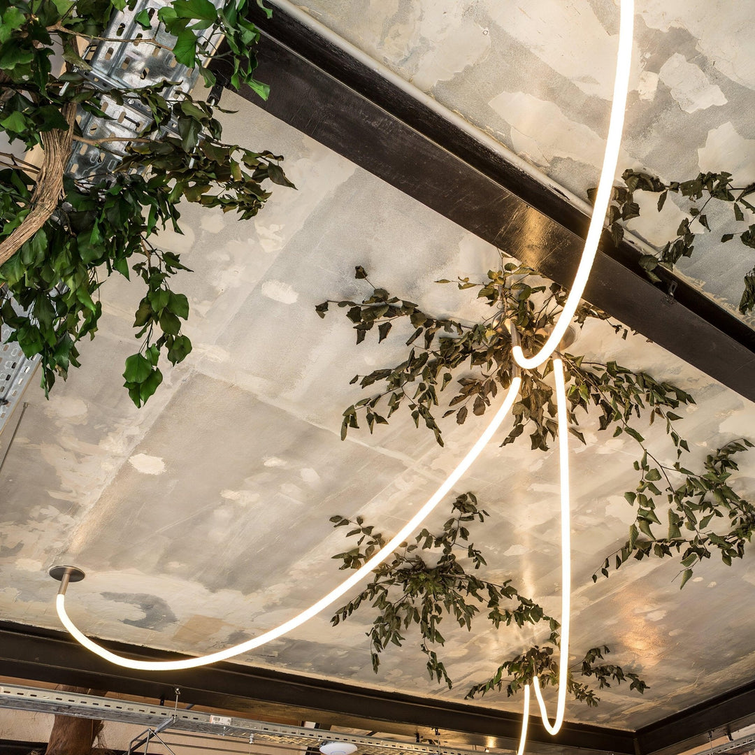 Flexible Curve Hanging light Pendant Lamp | Kalsten