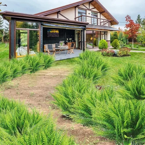 Kalsten | EverGreen Boston Fern – Artificial Plant with UV Protection and Weather Resistant Design