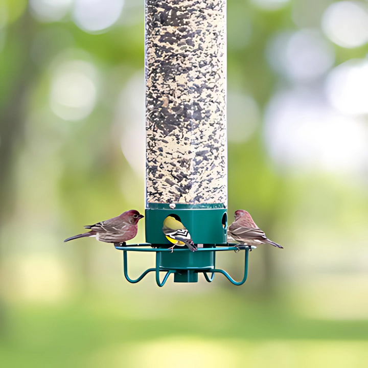 Squirrel-Proof Outdoor Hanging Bird Feeder Kalsten