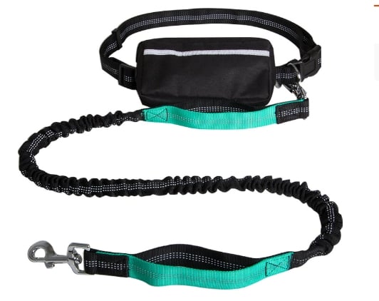 FlowLeash — Experience gentle control and relaxed walks without jerks! | Kalsten